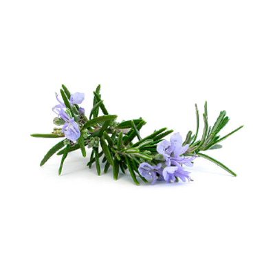 Olive_SPA_krem_akne_03